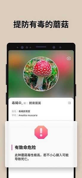 蘑菇识别扫一扫免费版  v2.9.17图2