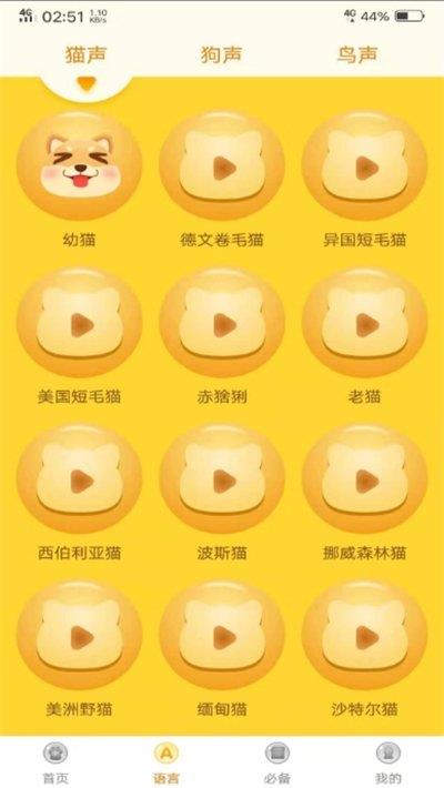 八哥鸟语翻译器