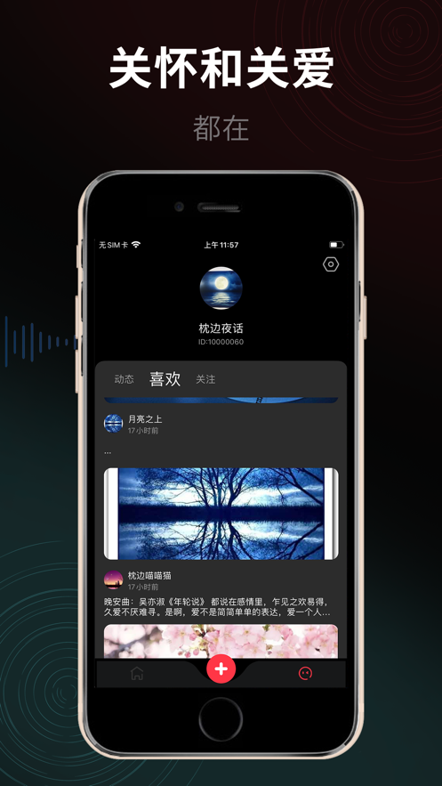 枕边猫2023  v1.0图3