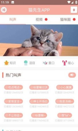 博猫管家  v7.7图1