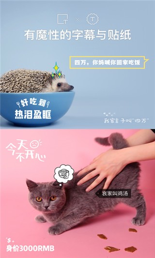 猫饼视频剪辑  v2.0.0图1