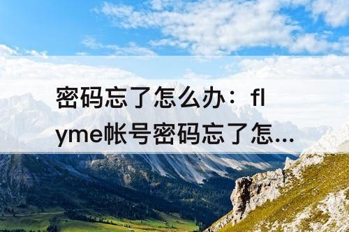 密码忘了怎么办：flyme帐号密码忘了怎么办
