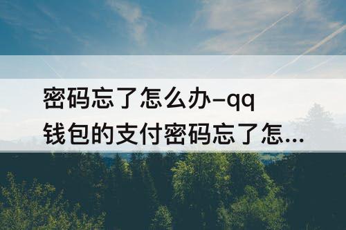 密码忘了怎么办-qq钱包的支付密码忘了怎么办