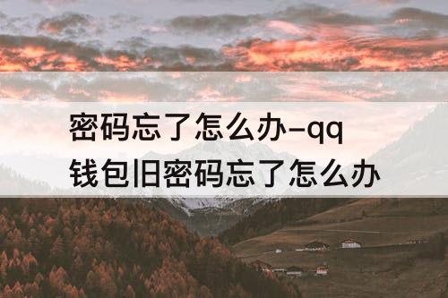 密码忘了怎么办-qq钱包旧密码忘了怎么办