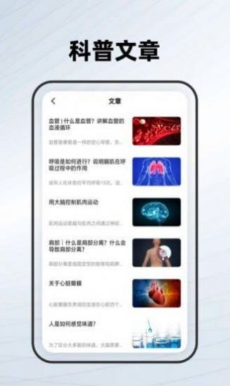 人体骨骼  v1.0图1