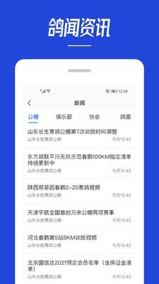 青鸽网安卓版  v3.6.3图1