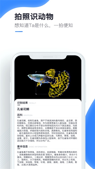 百科扫描王破解版下载最新版安卓手机安装  v1.0.0图1