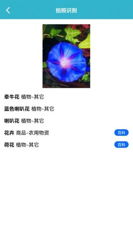 动植物识别  v1.1图3