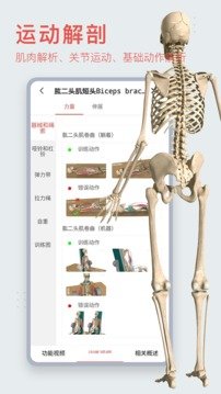 3Dbody解剖  v8.6.21图1