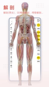 3Dbody解剖  v8.6.21图3