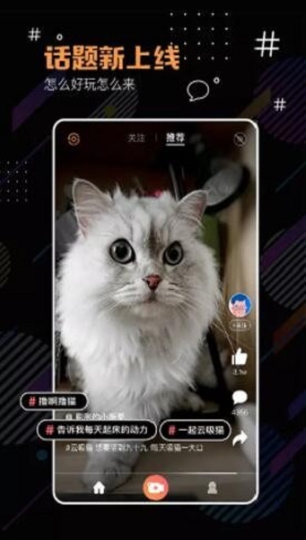 河豚小视频搞笑版下载
