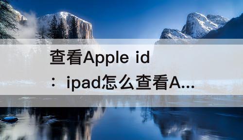 查看Apple id：ipad怎么查看Apple ID