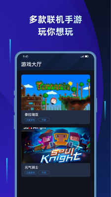 蒲公英联机平台官网版  v1.2图3