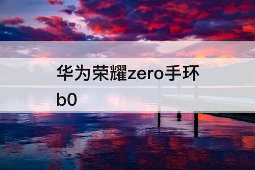 华为荣耀zero手环b0