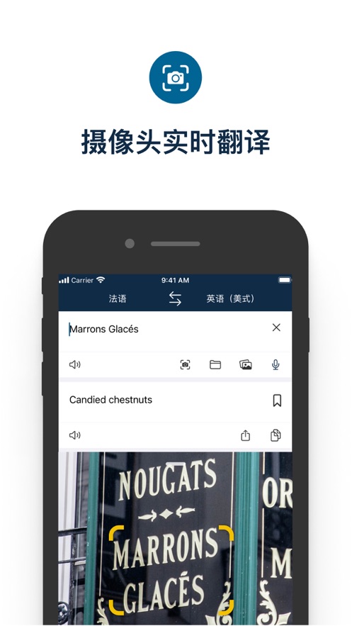 deepl翻译器破解版安卓  v6.1图3